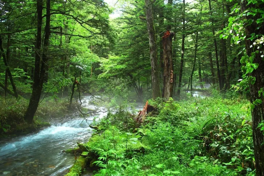 Kamikochi 17571011280