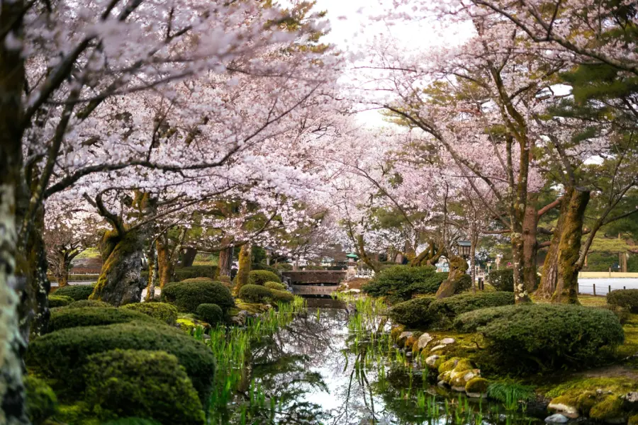 Marek piwnicki 1bqy6ypwflg unsplash