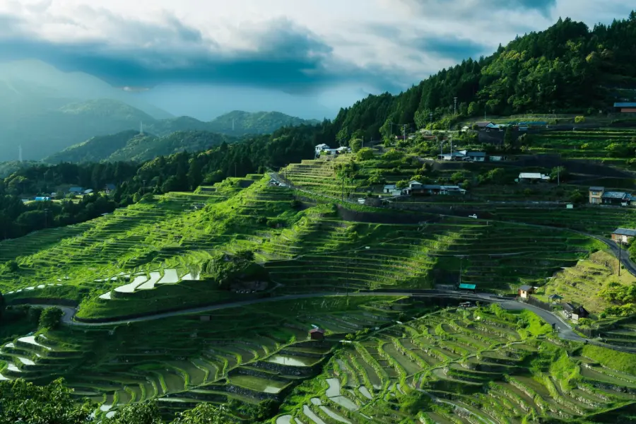 Soichiro ito ryje9g01uvs unsplash