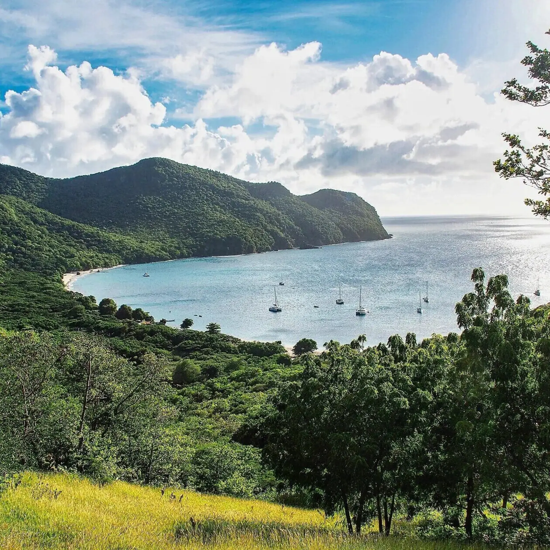 Union Island groot