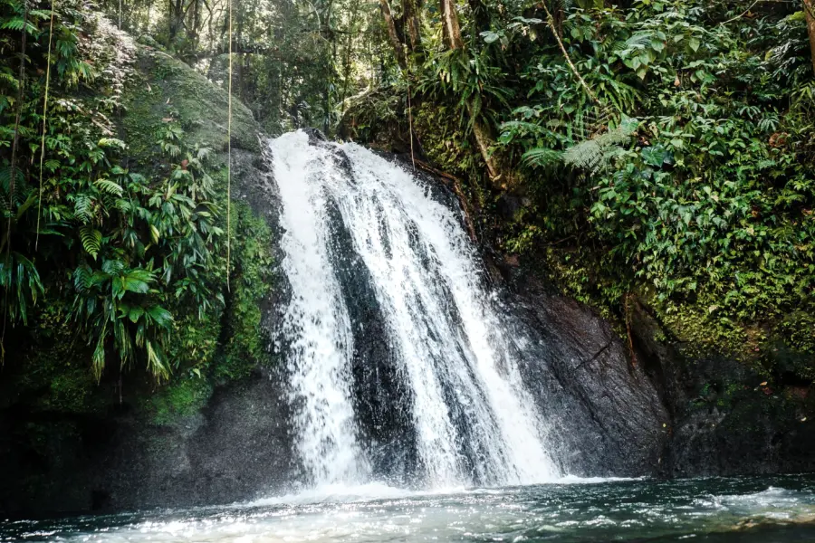 Daniel oberg fg5jun4bybq unsplash