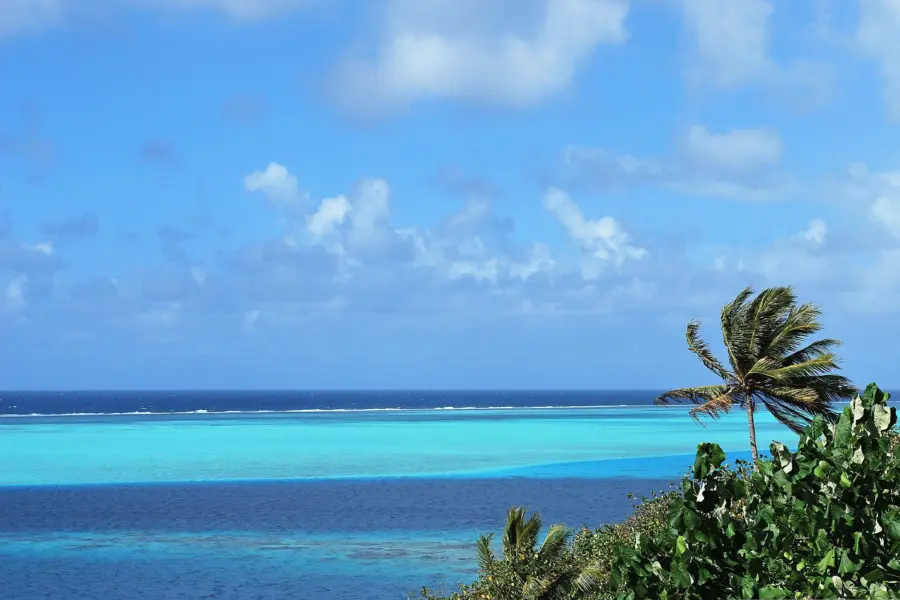 Pixelia tahiti 2923943