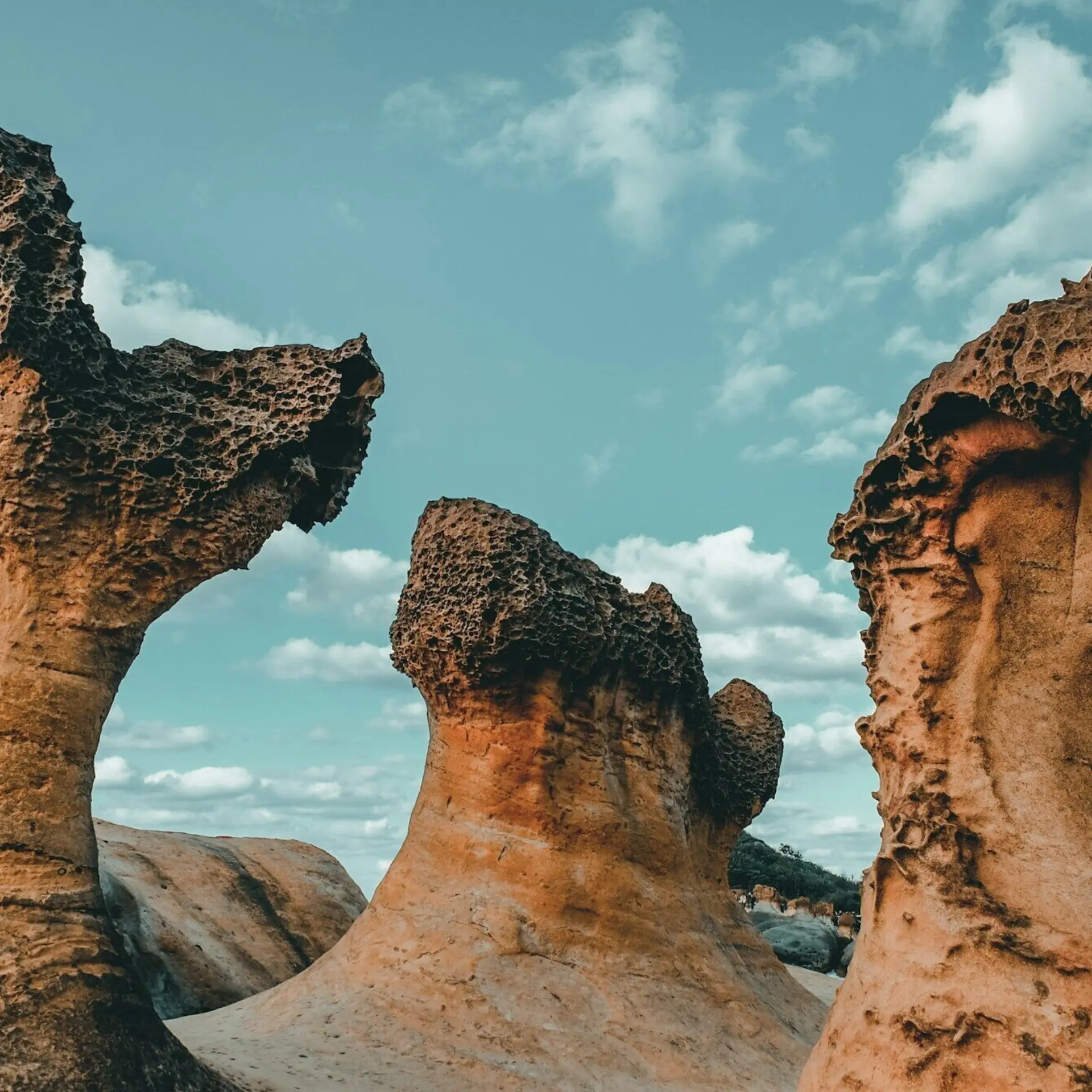 1778573434752 maryjoy caballero zs6fs2cv7j0 unsplash