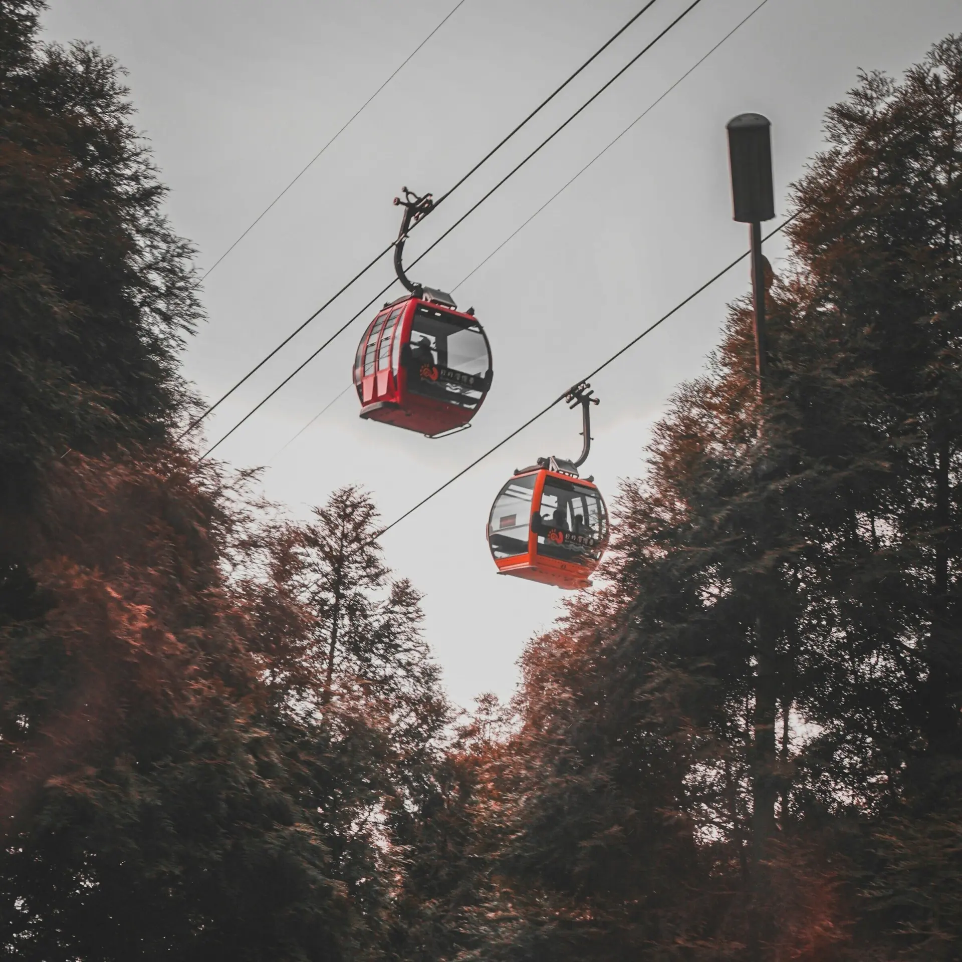 Lisanto h C Sv4 BFQ5o unsplash