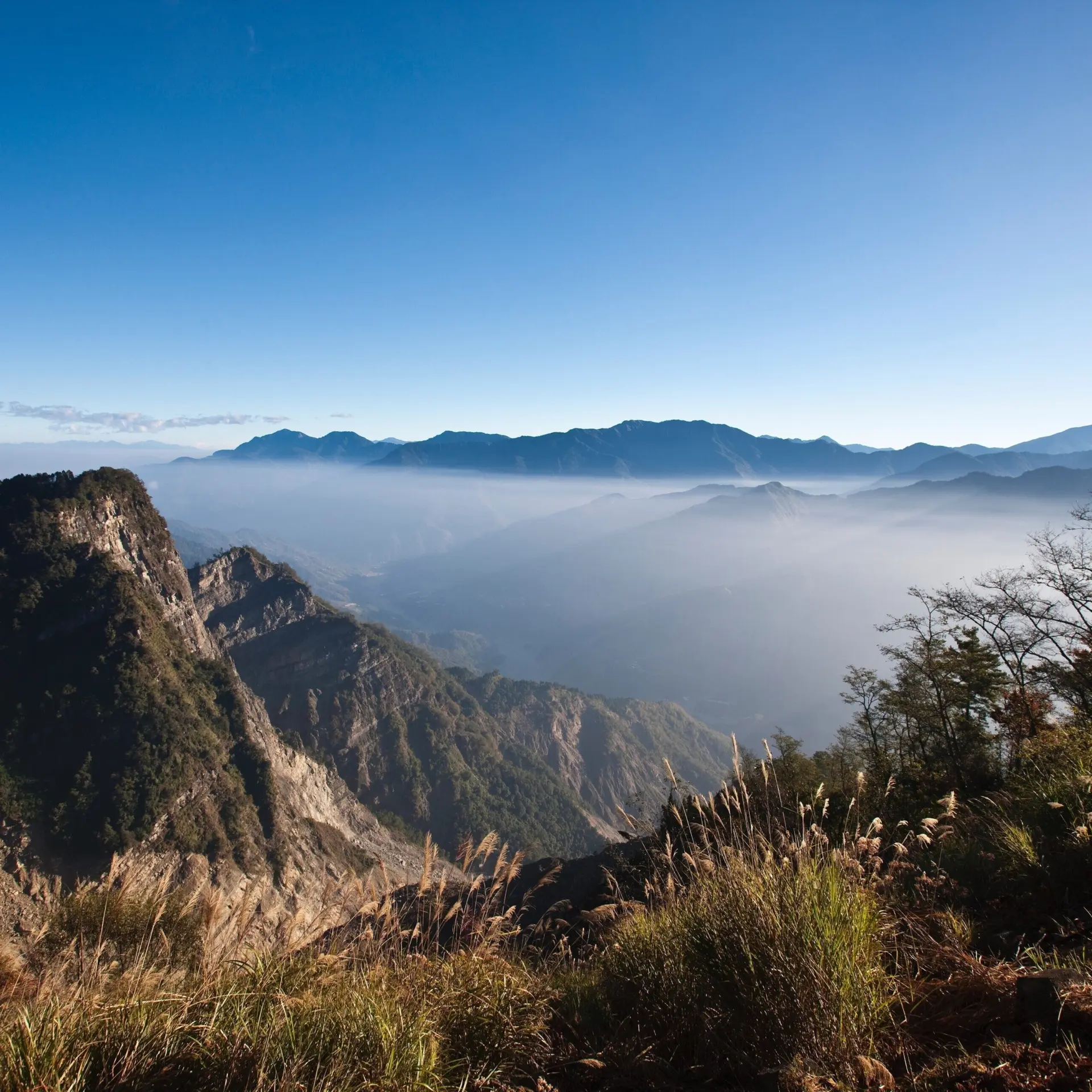 Avila Reizen Taiwan Alishan