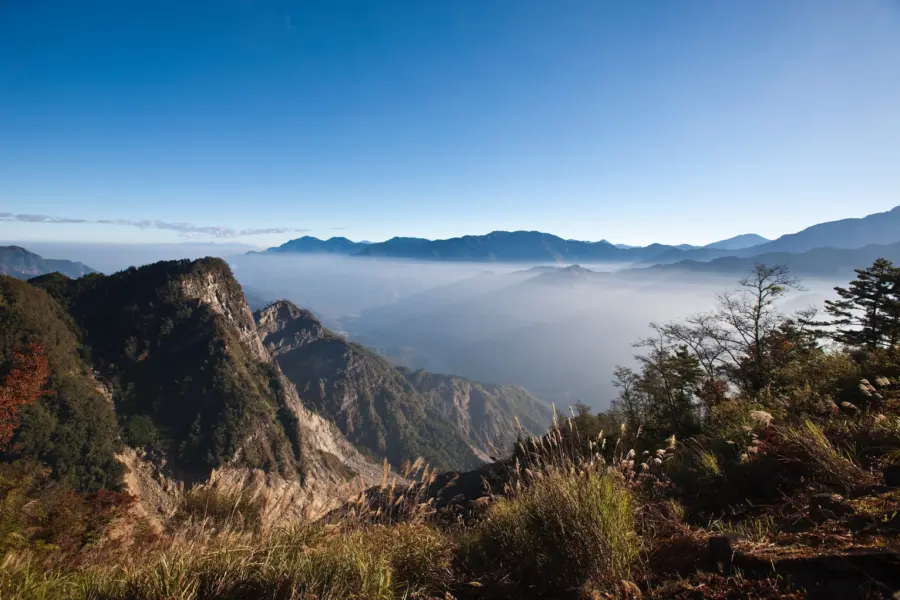 Avila Reizen Taiwan Alishan