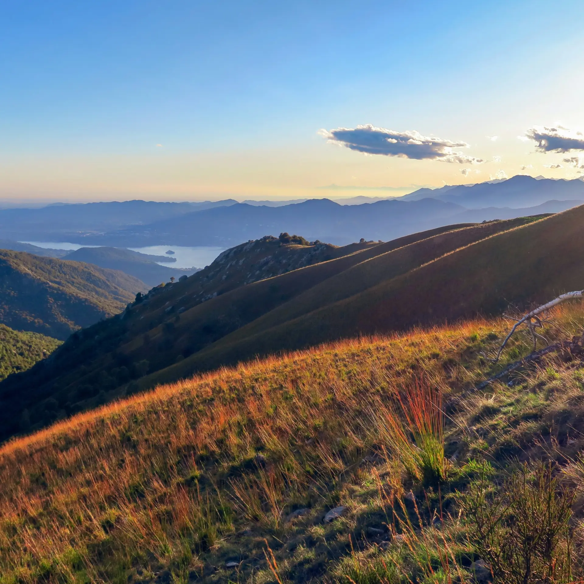 Max zed b8c22xnv0 unsplash