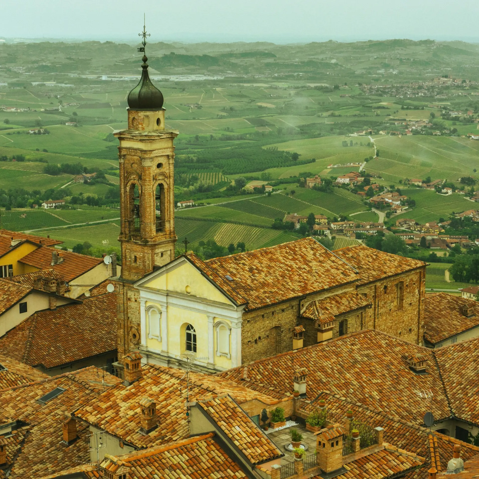 David salamanca nqf spgto0 unsplash