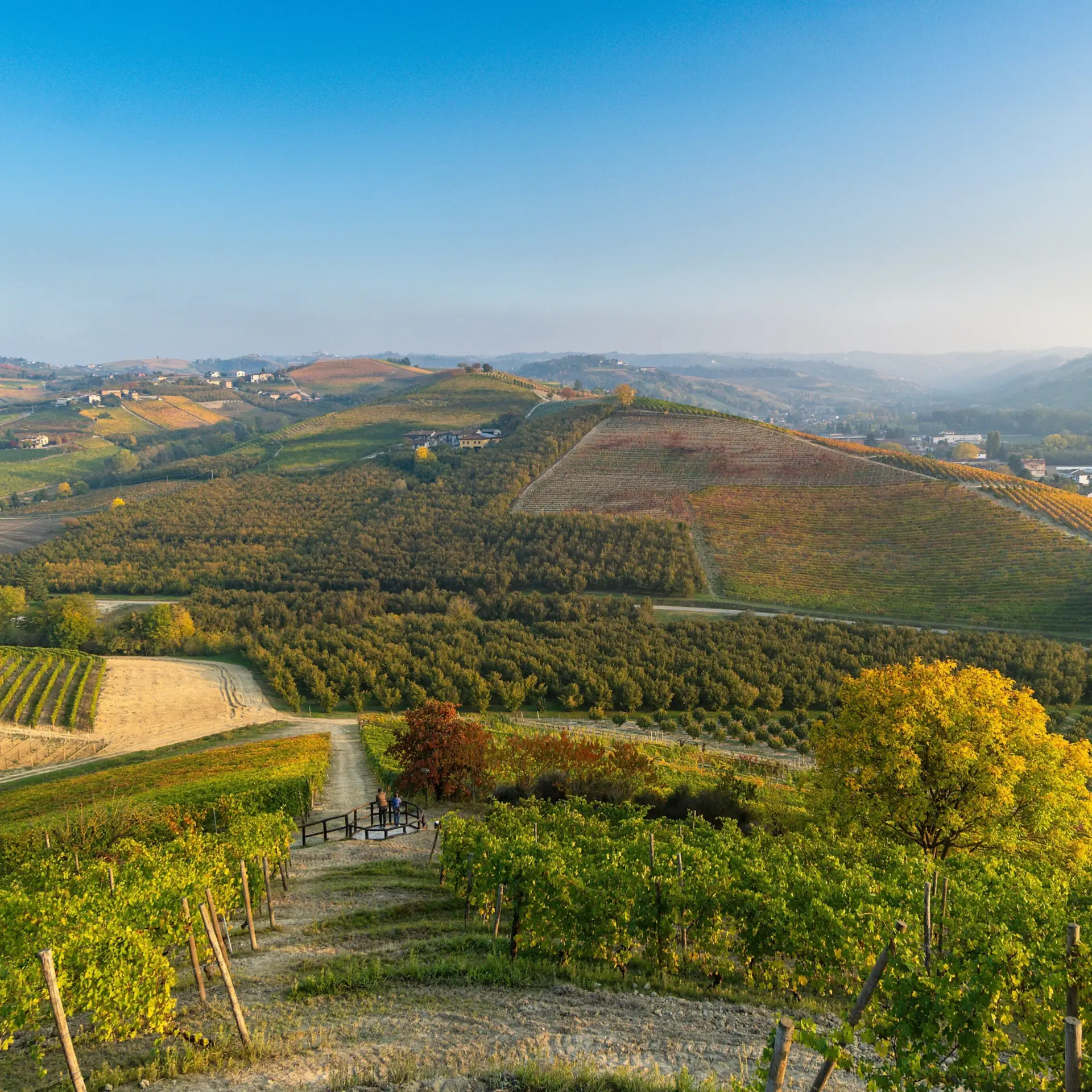 Sebastian vg8ufqhwrao unsplash