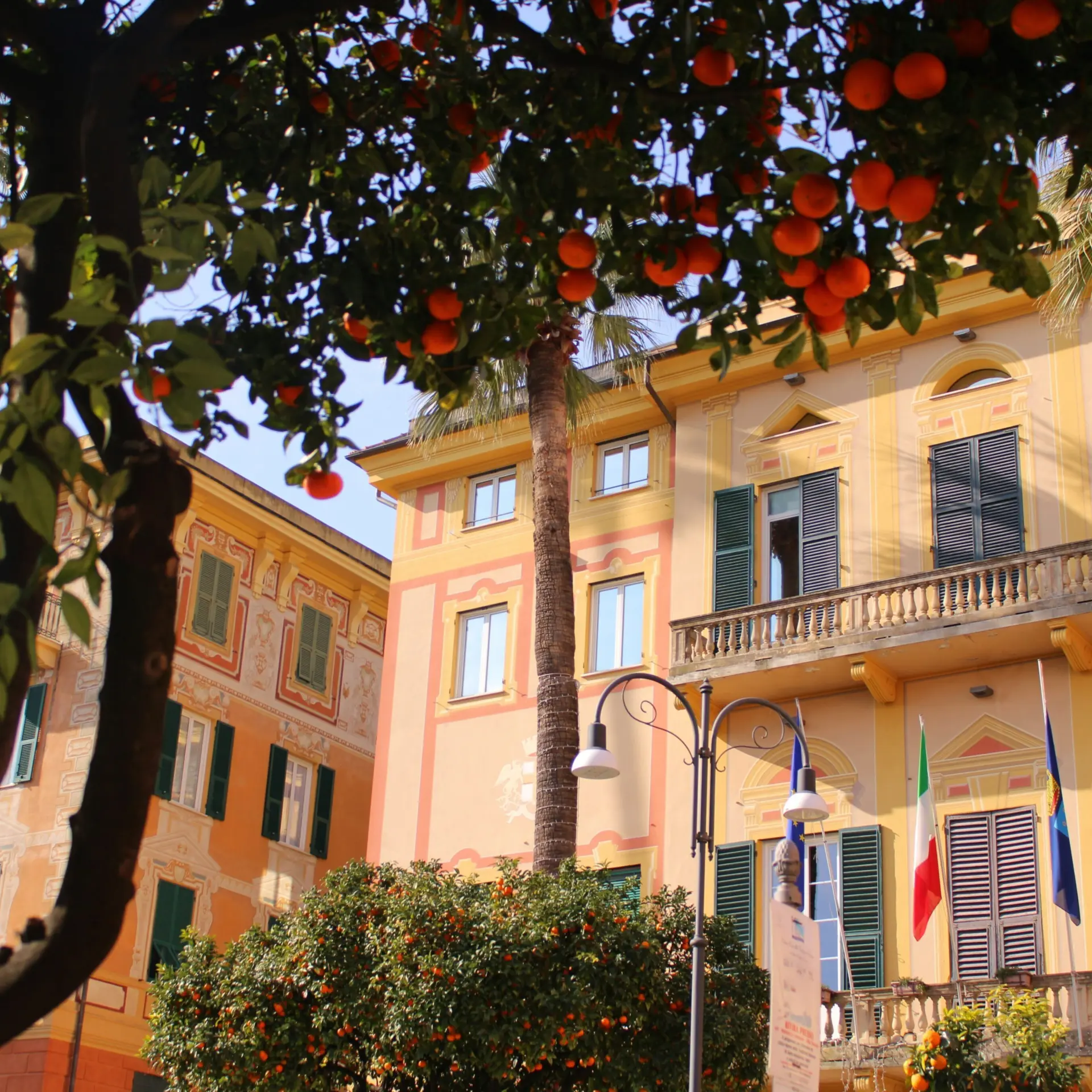 Nathan prost bu8krcuo2bs unsplash