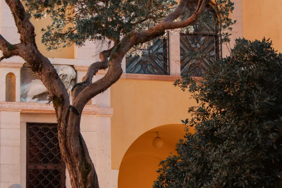 Edoardo botez no8t2he6bzi unsplash