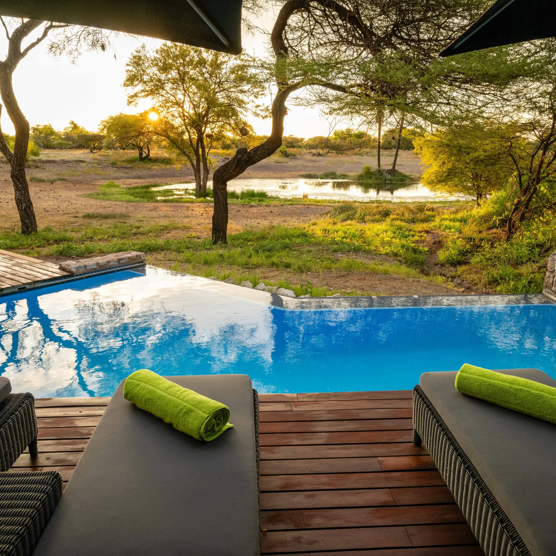 Onguma tented camp pool view3