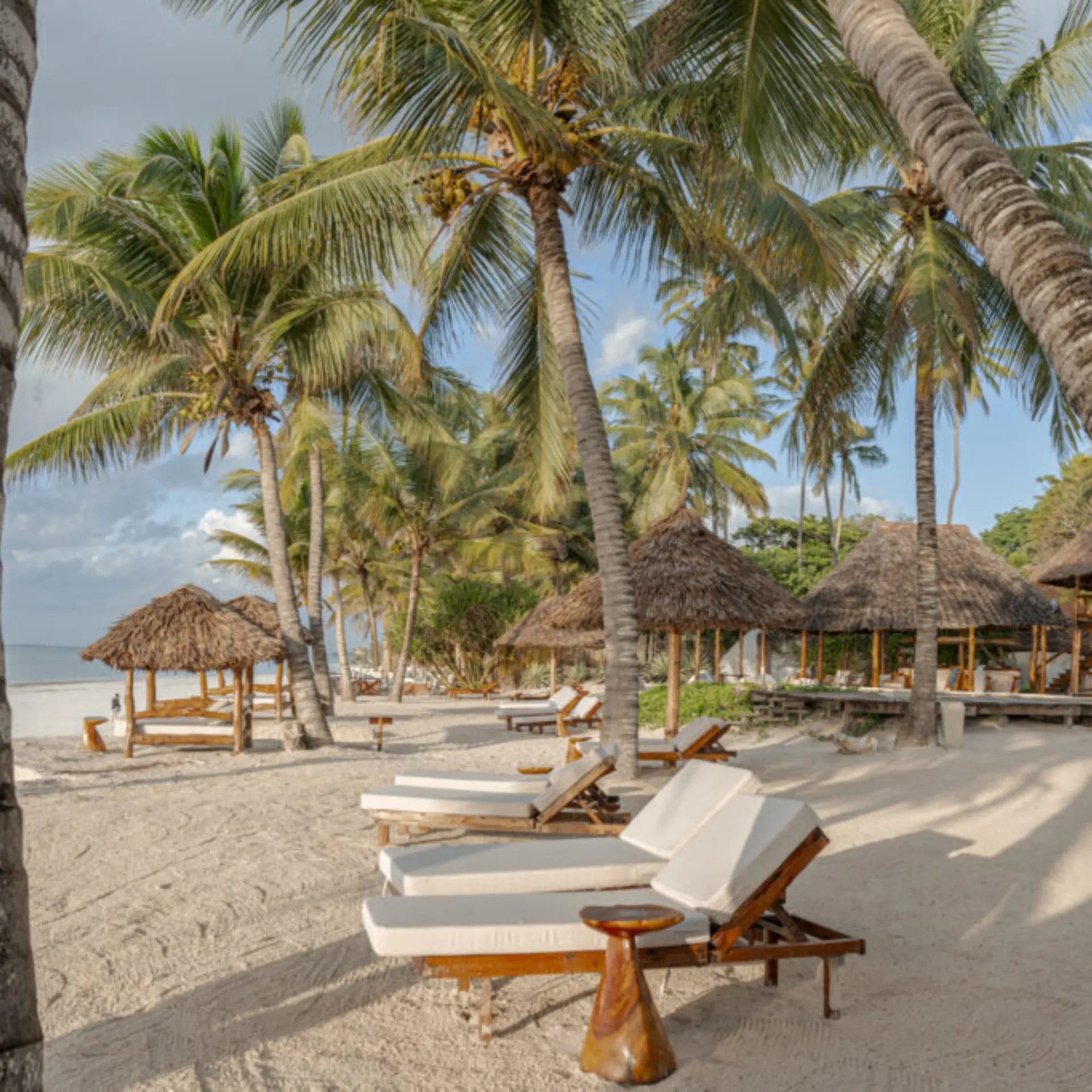 Beachpalms 1024x683