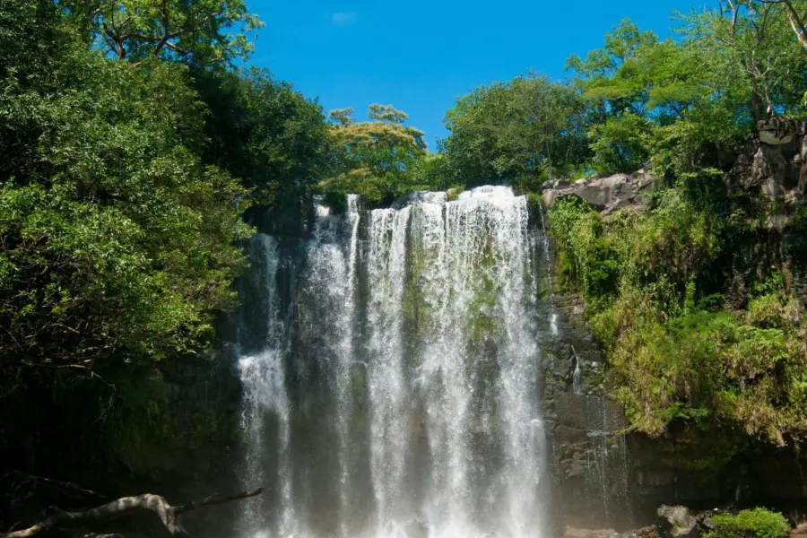 Juliana barquero 5 yxr7mqxuo unsplash