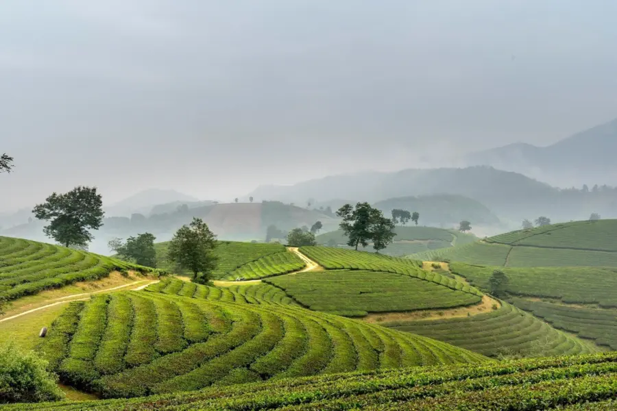 Pexels quang nguyen vinh 6876740