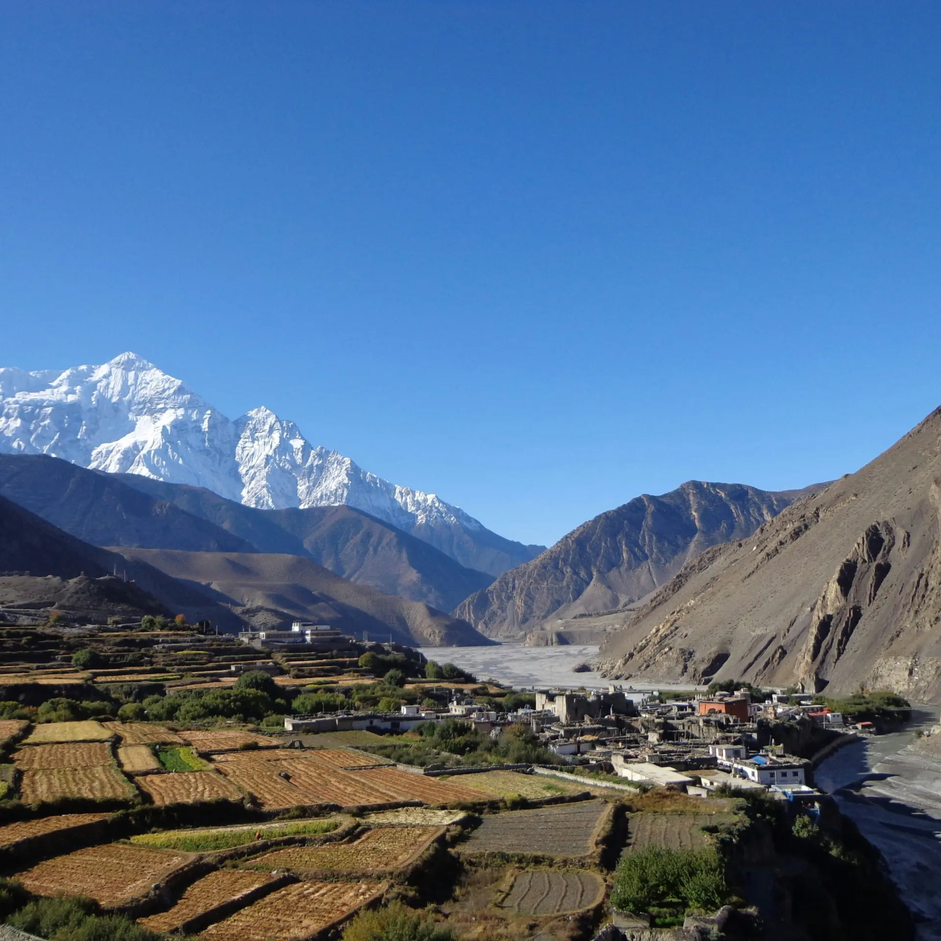 1781611848028 raju gurung vu8s 8pdks8 unsplash