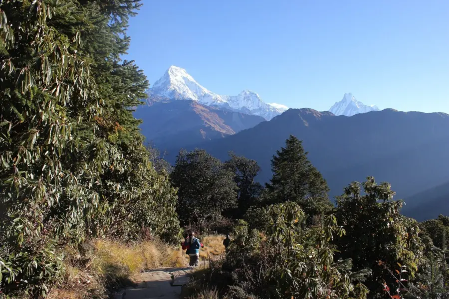 Poon hill 10