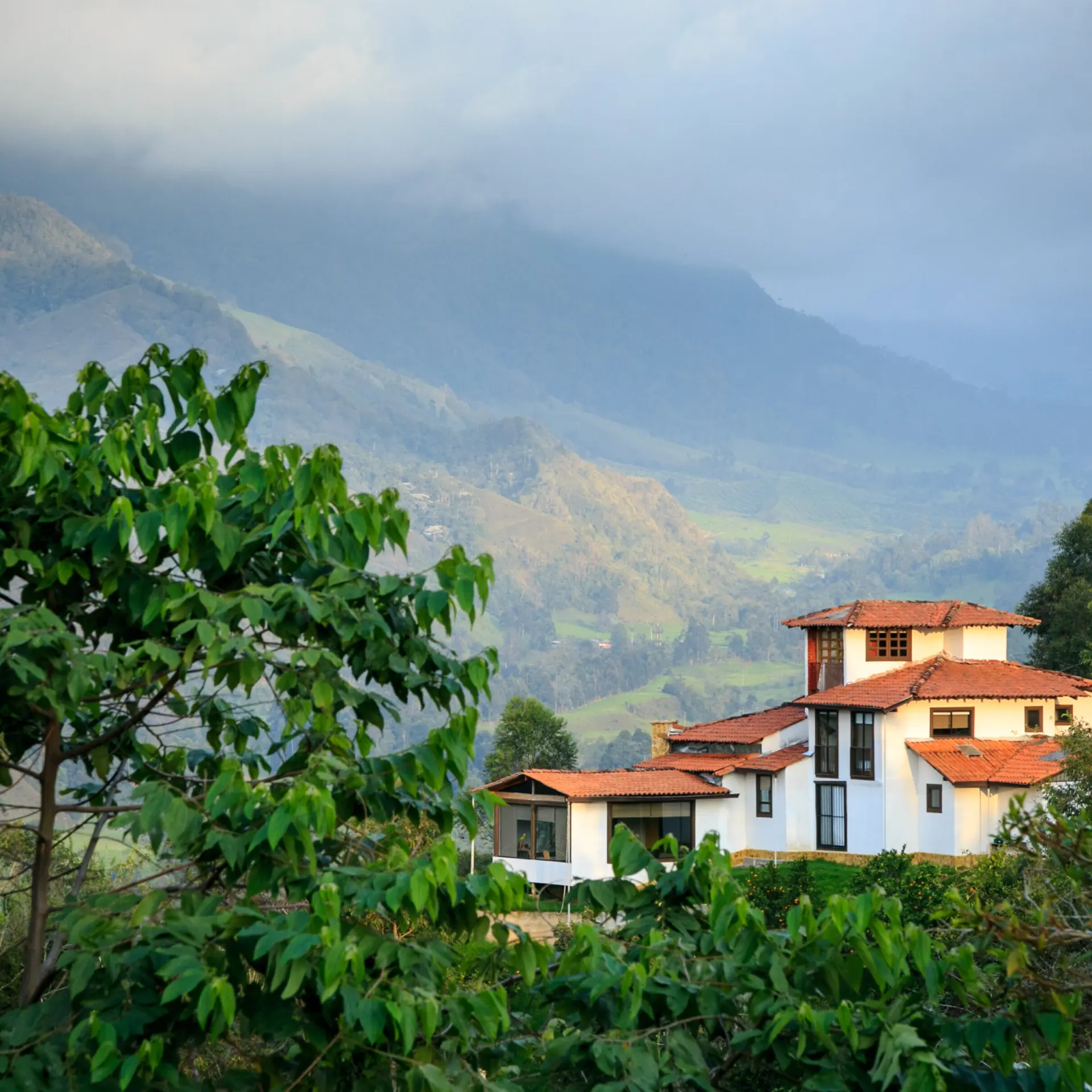 Colombia koffieregio1