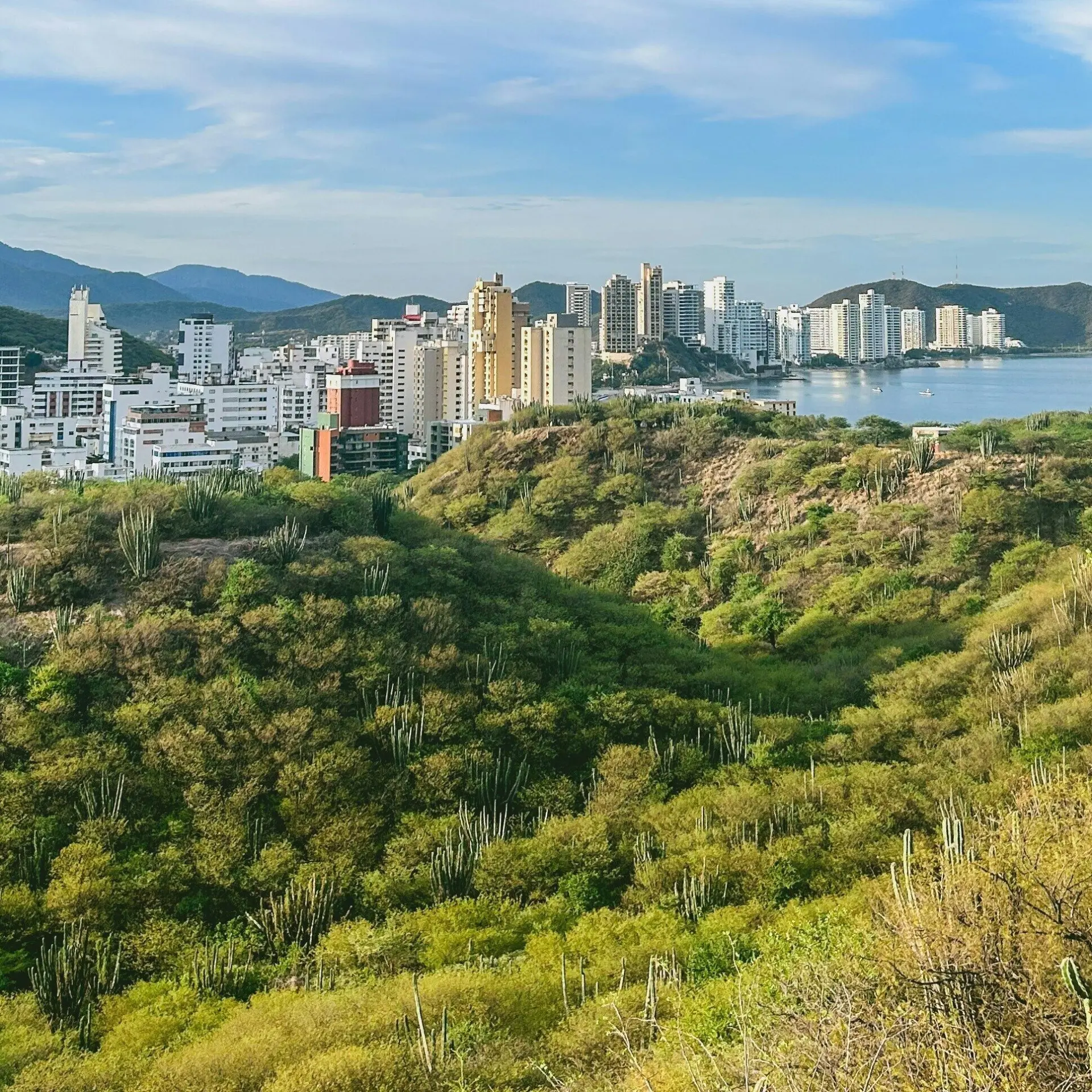 Giselle cucunuba manes knyrdq9hsos unsplash