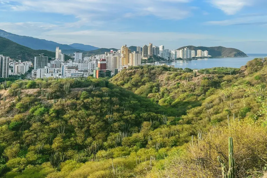 Giselle cucunuba manes knyrdq9hsos unsplash