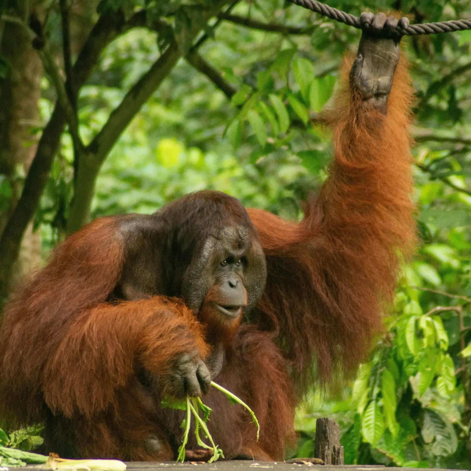 Tim morgan brzz9qhhp m unsplash