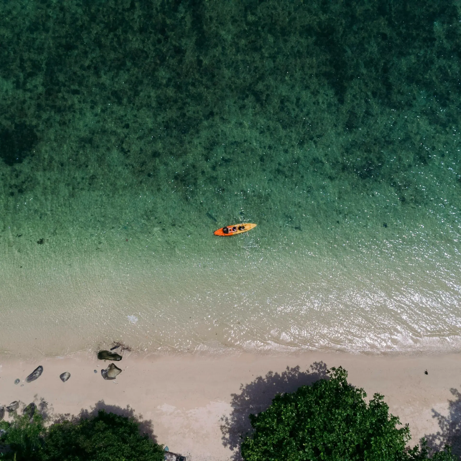 Colin meg f05jx9 2s64 unsplash