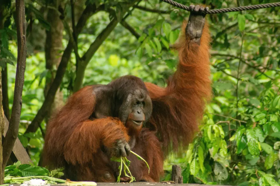 Tim morgan brzz9qhhp m unsplash