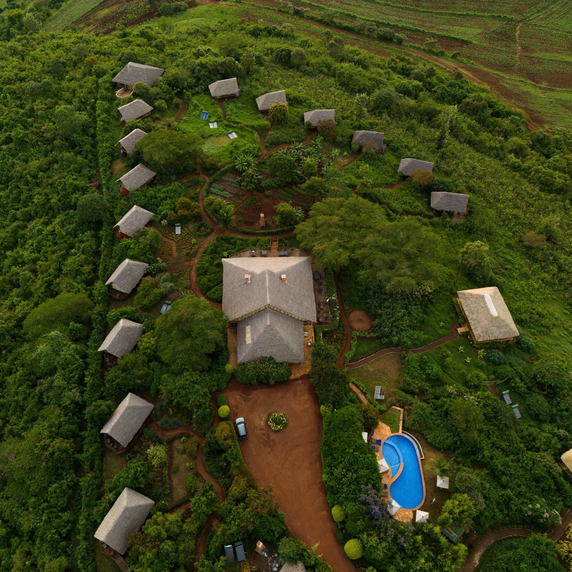 1734093782766 DJI 0297