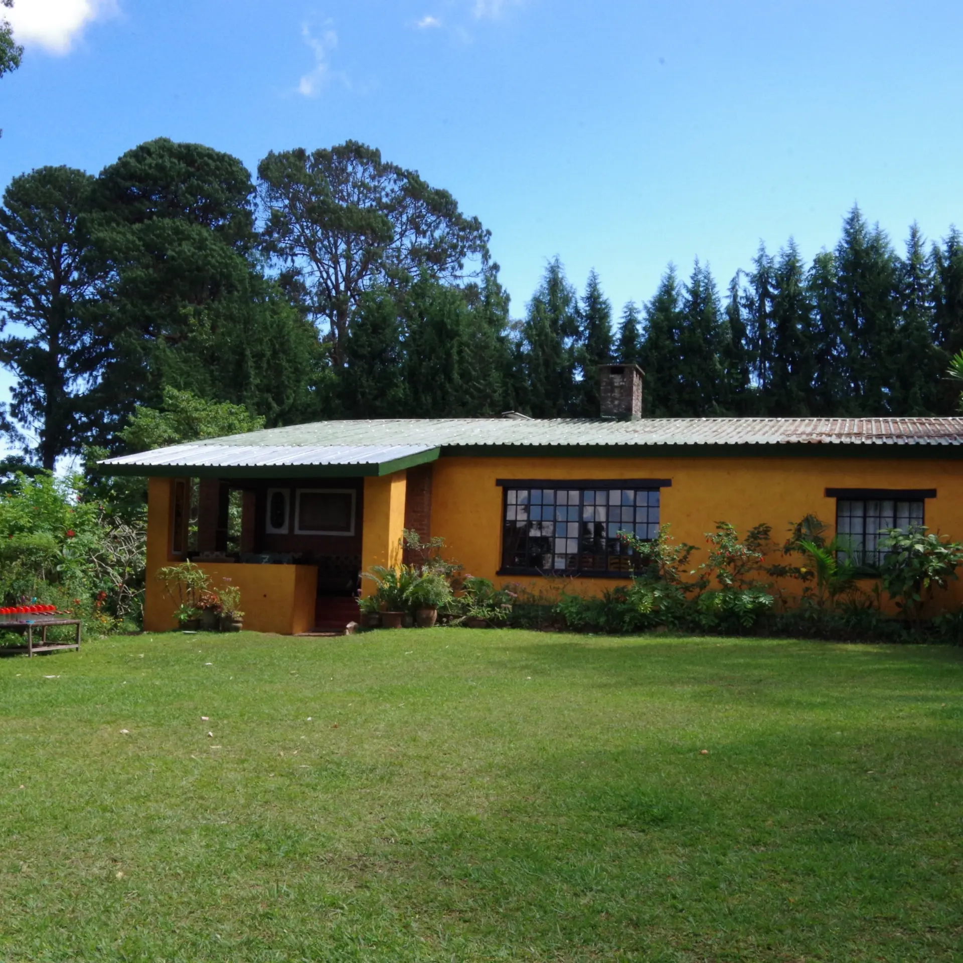 Imgp1482