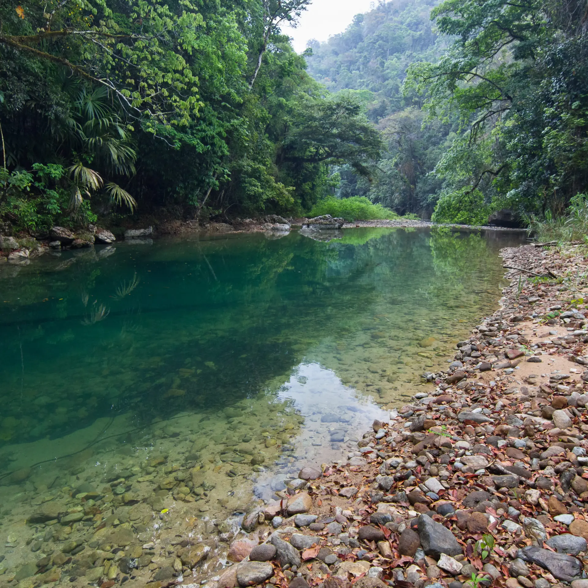 Bladen river in bladen nature reserve toledo