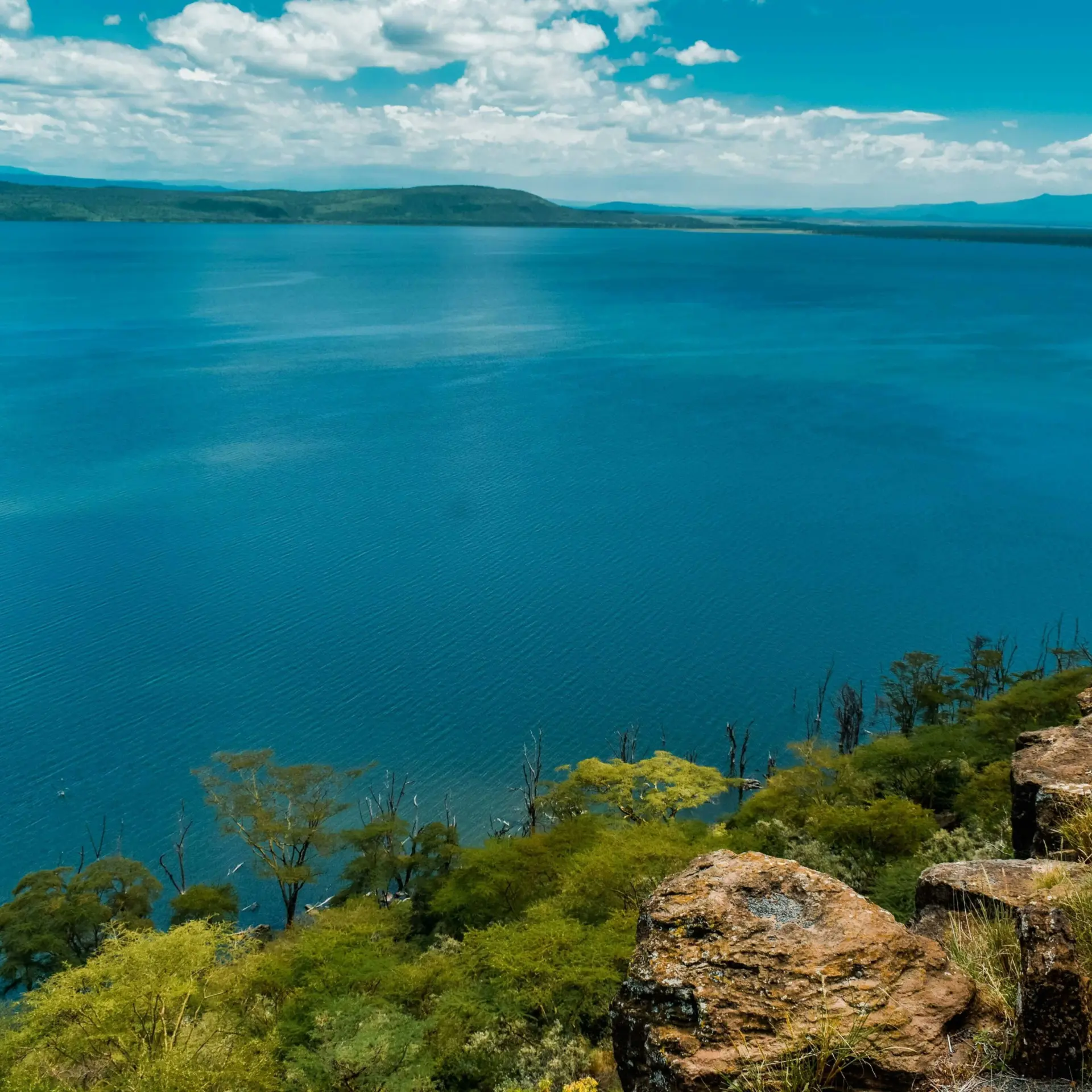 Muthengi mbuvi T Rtdf GTE64 unsplash