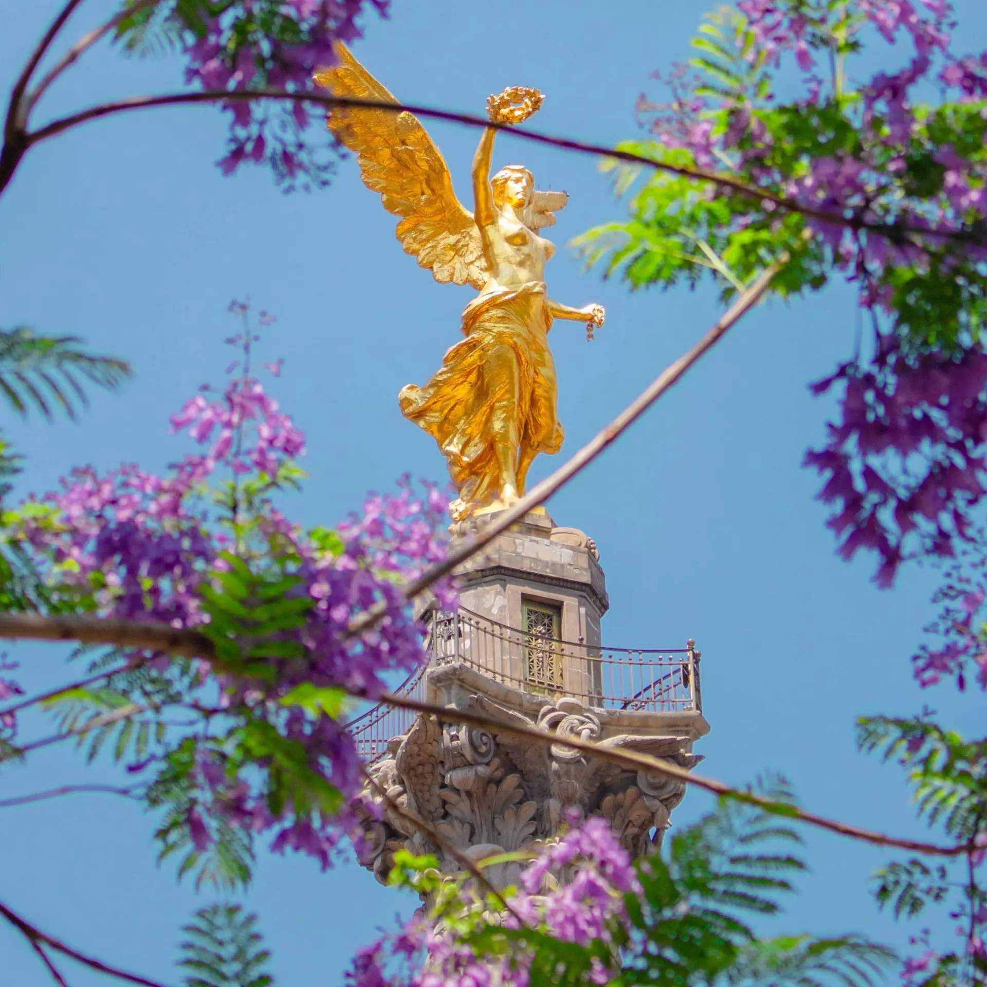 Axel garcia ywgifygwvfa unsplash