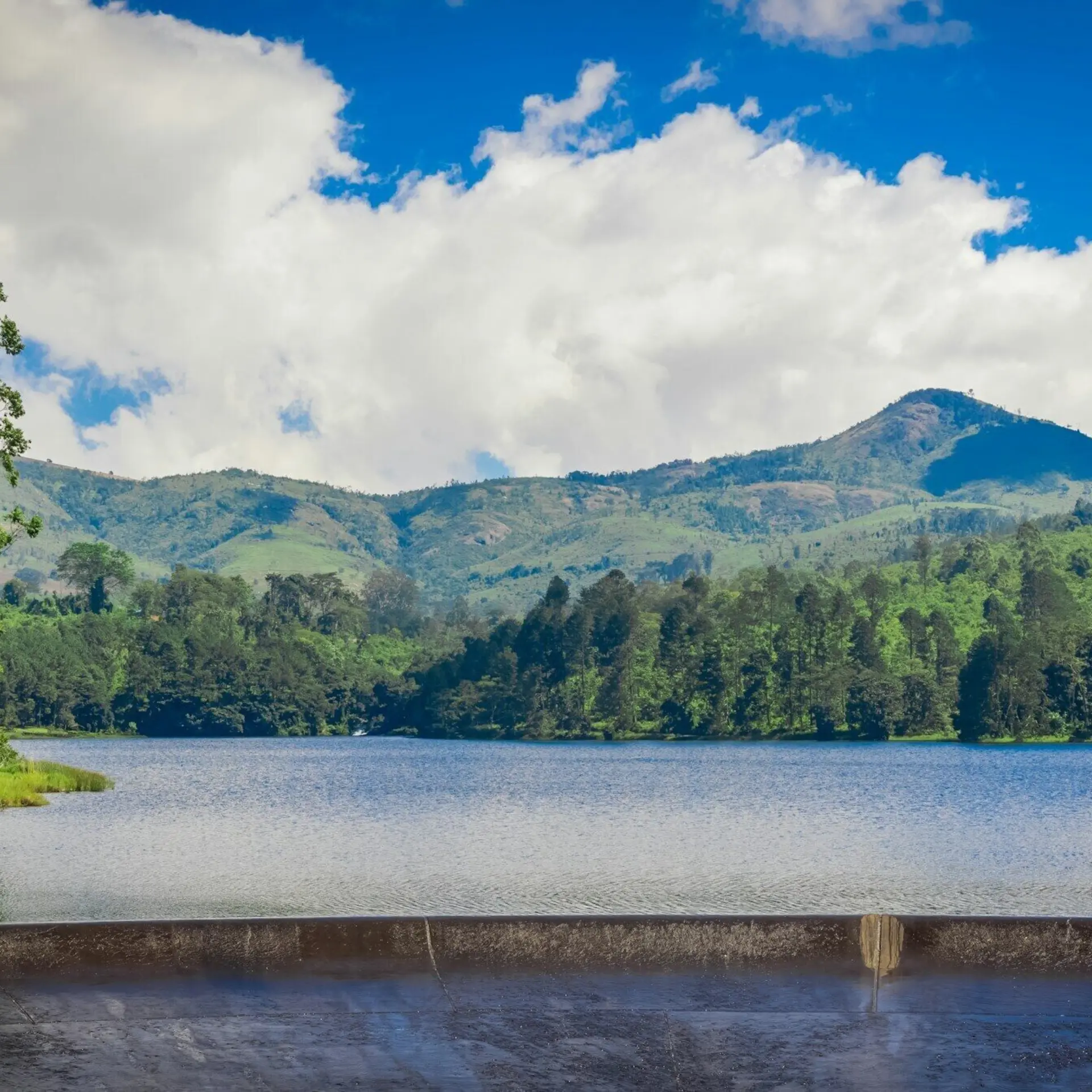 Omar hakeem iicu Mz W3 EGM unsplash