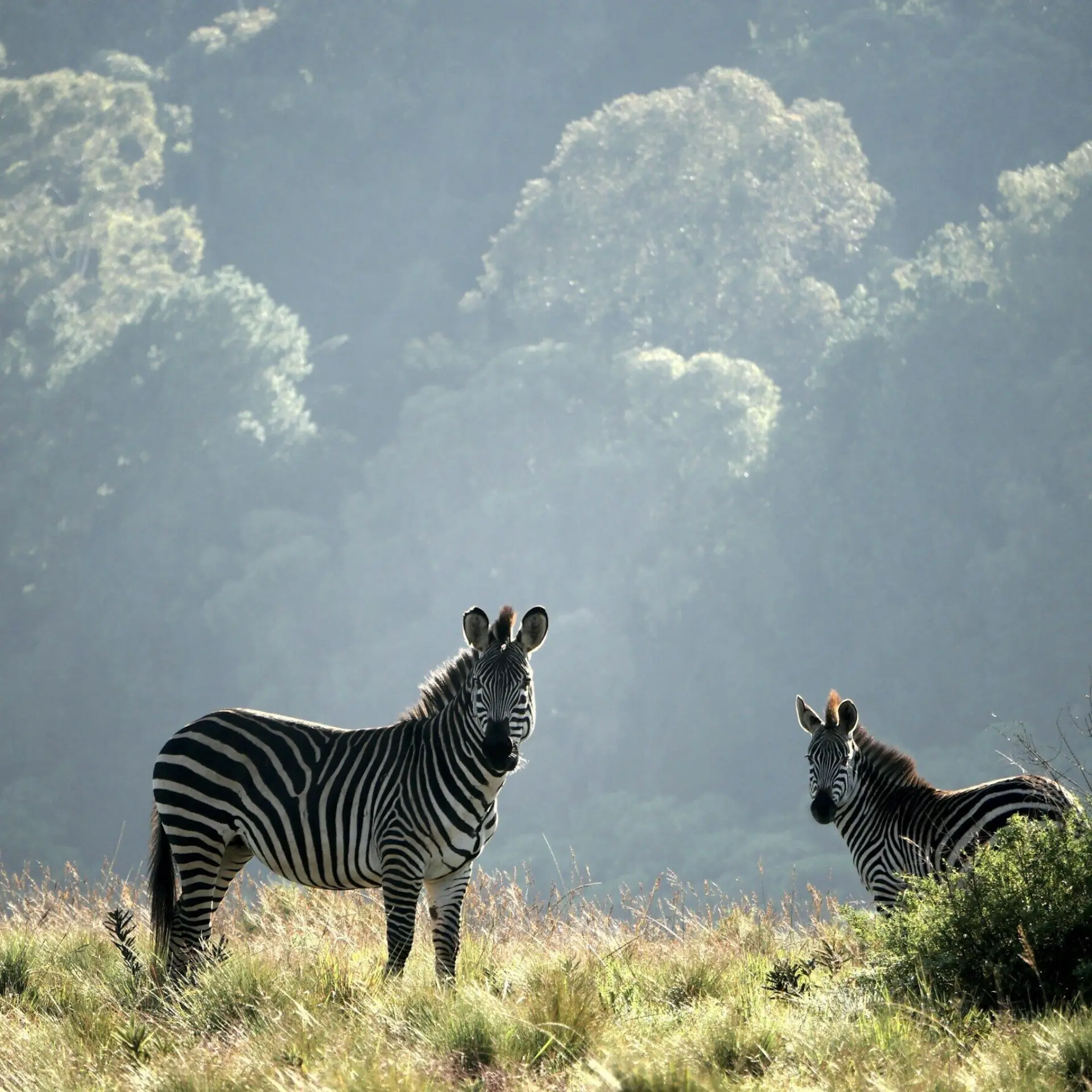 Ray aucott 6 Qj Wzfnr N g unsplash