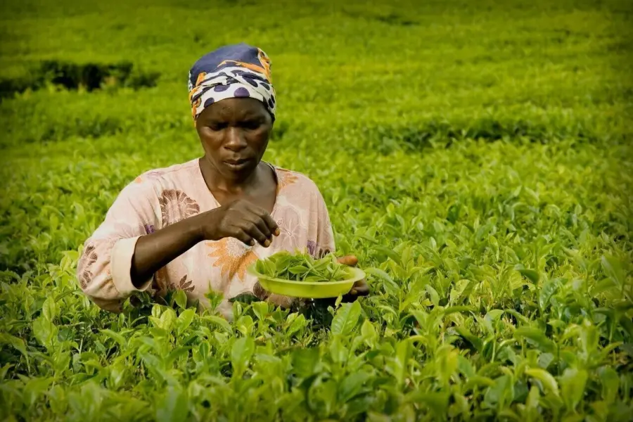 Ff5213 bdd9ef5abd534810b3a7a14730fb318f