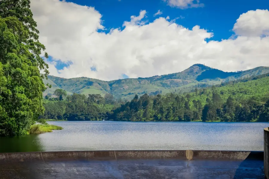 Omar hakeem iicu Mz W3 EGM unsplash