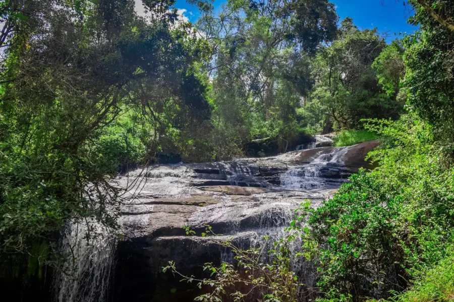 Omar hakeem Afg2 MRL Al8 U unsplash