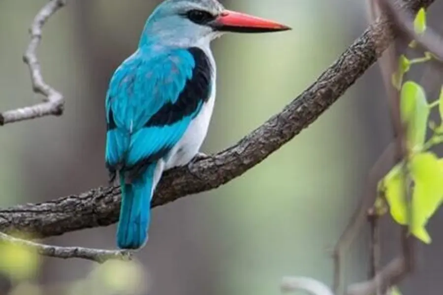 Whats App Image 2021 12 03 at 05 09 55