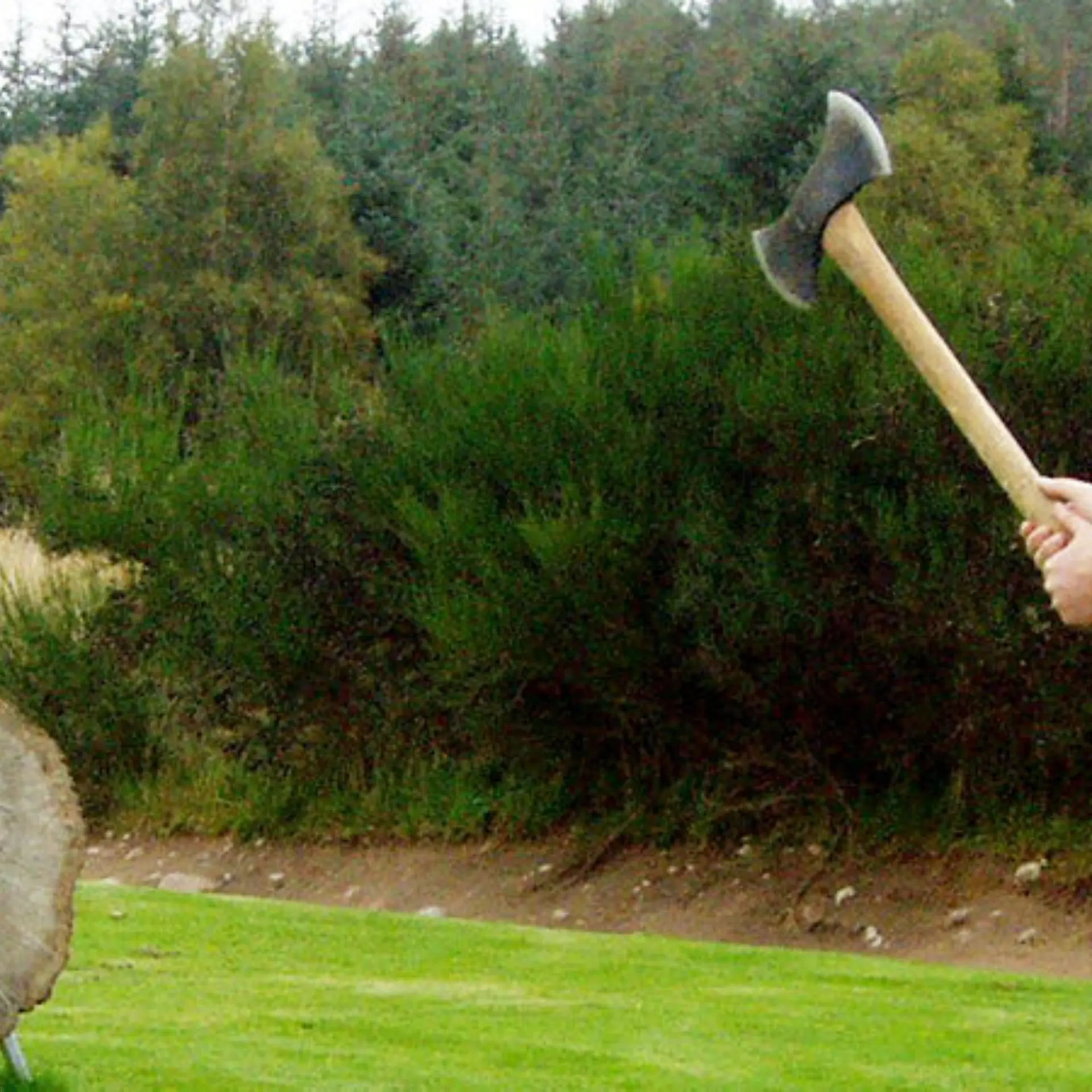Axe throwing1