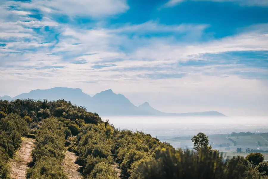 Mpho mojapelo ixdv tgndca unsplash