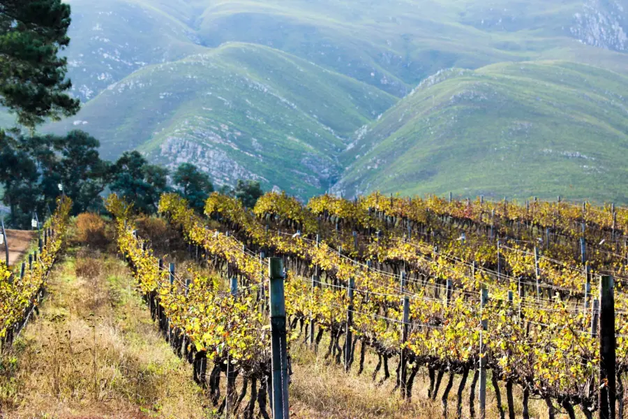 Devon janse van rensburg b tr l0iglq unsplash