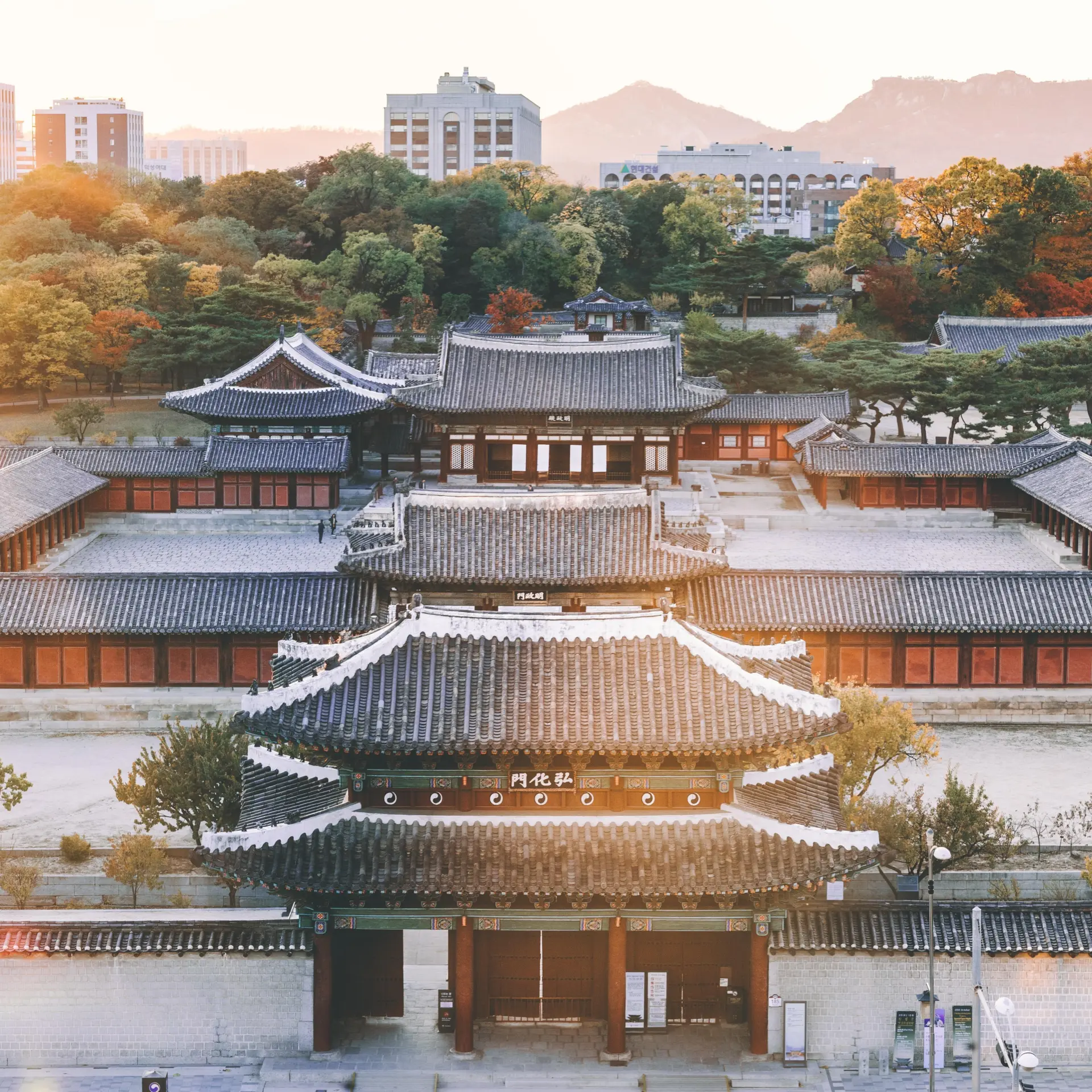 Bundo kim p d5pbqg5te unsplash