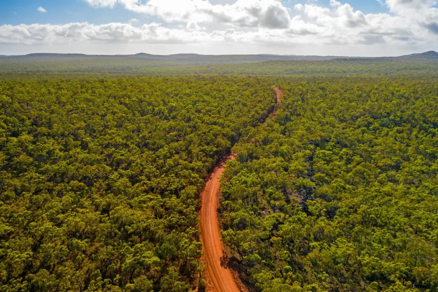 Sclcapeyorkoutbacktrack001
