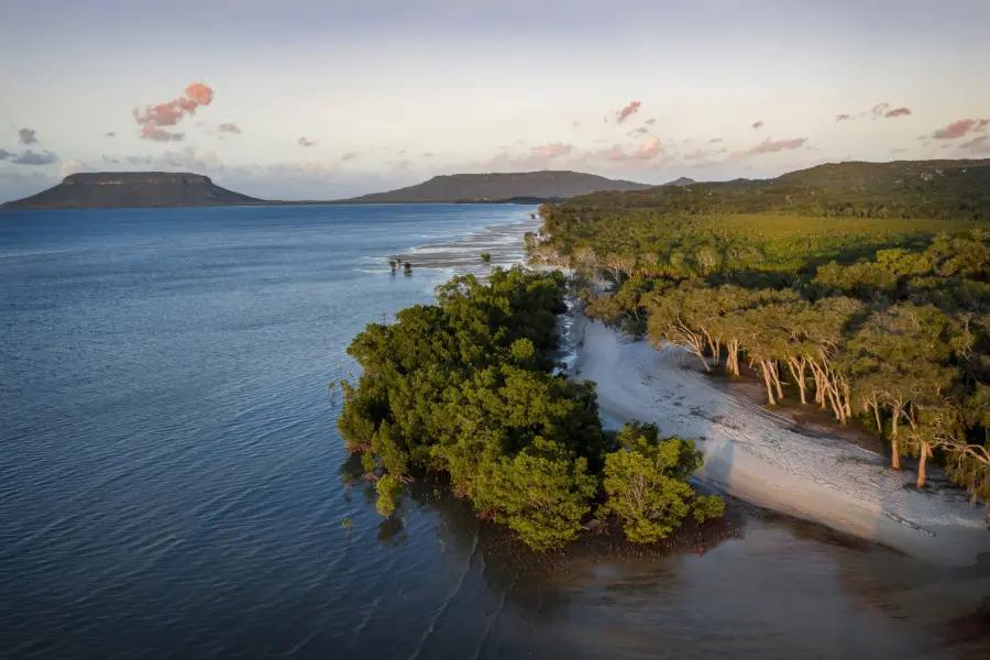 Sclcooktown001