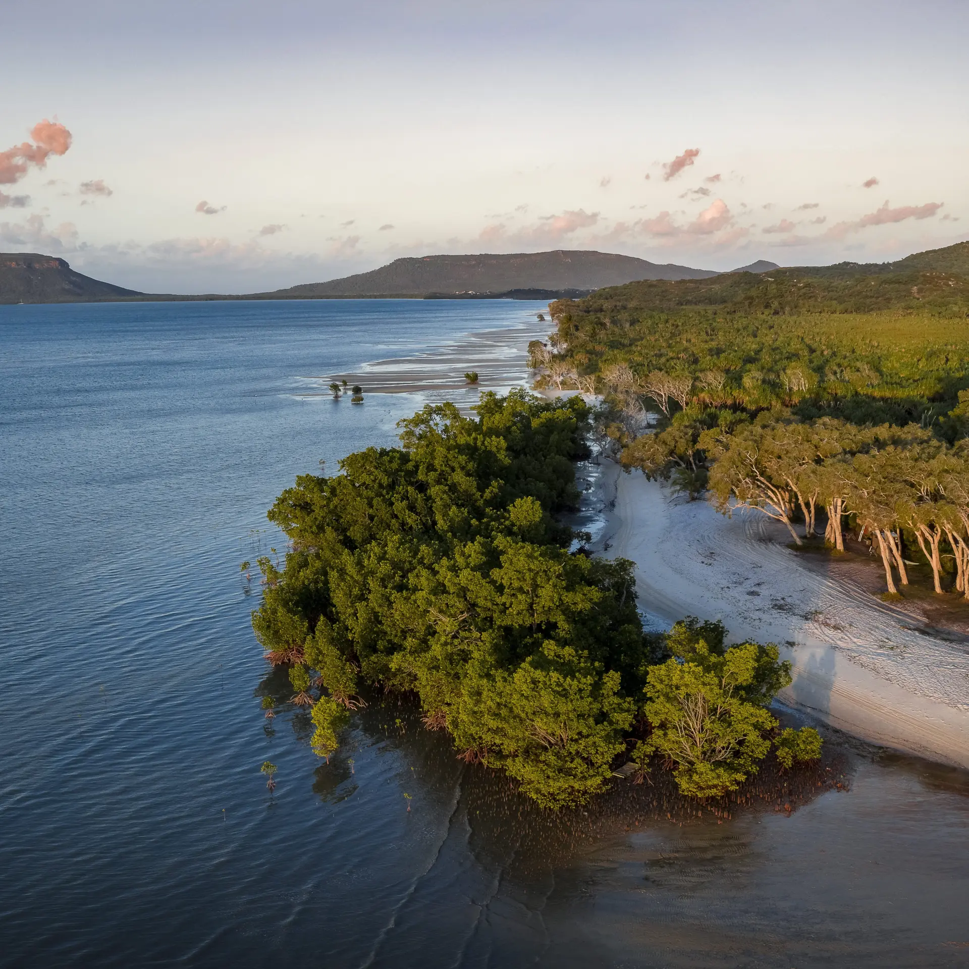 Sclcooktown001
