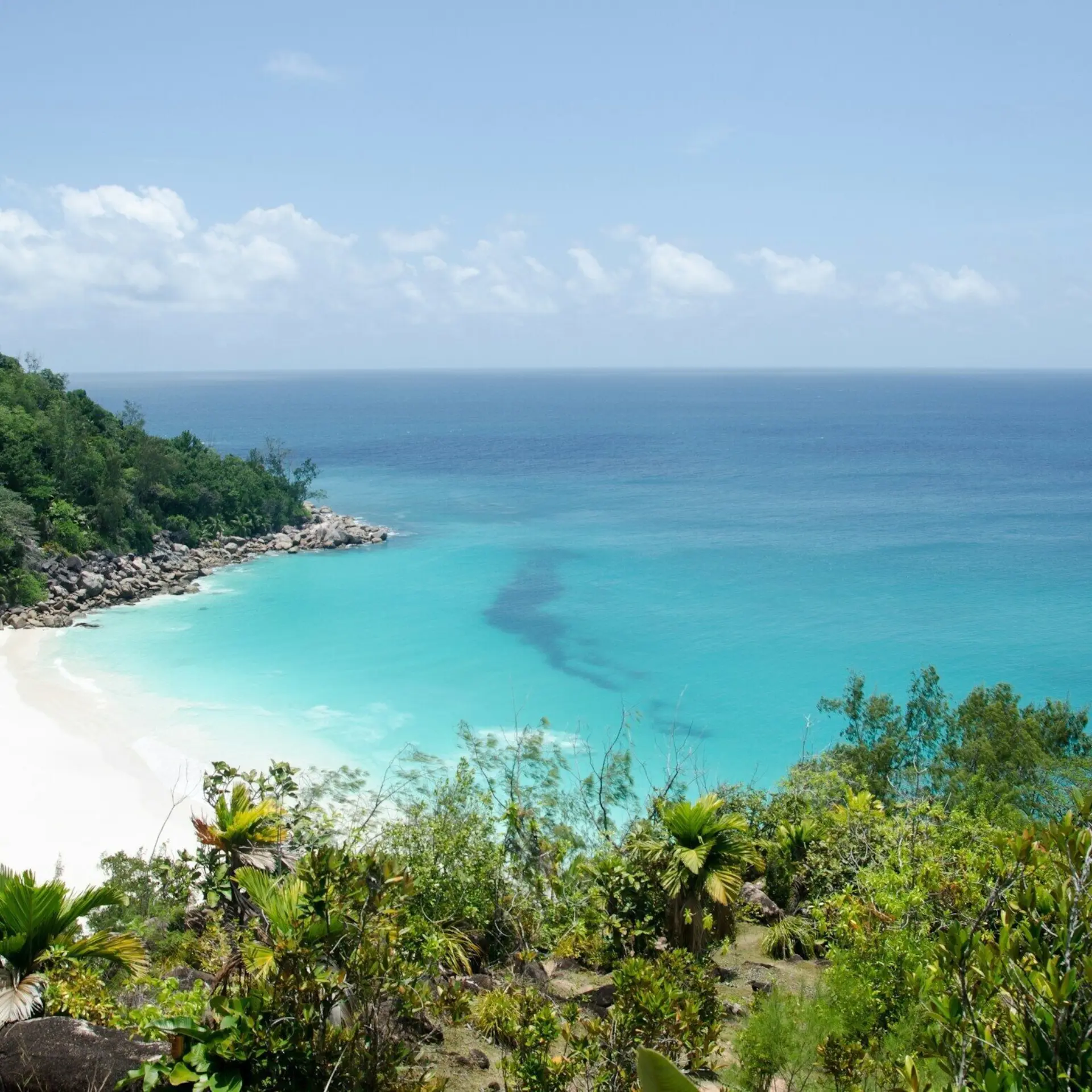 Ron barabash qdotfbjybq0 unsplash