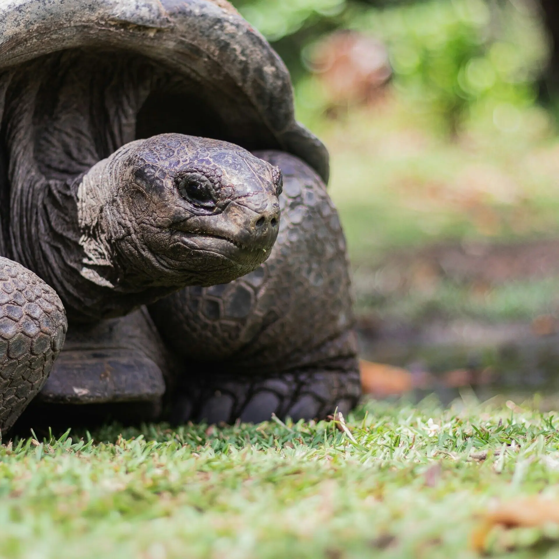 Dan maisey vd77mitgm9c unsplash