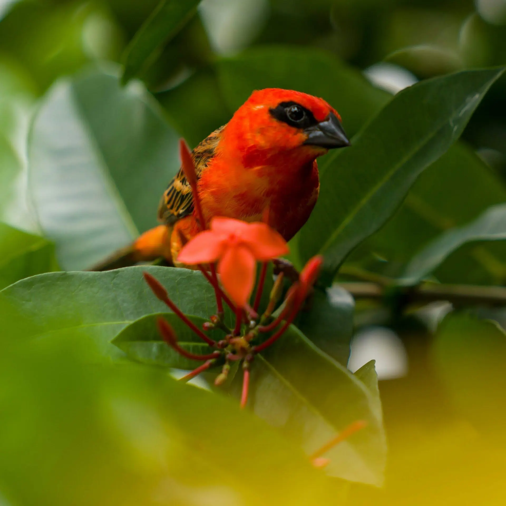 Chandu j s pd6wjssjvza unsplash