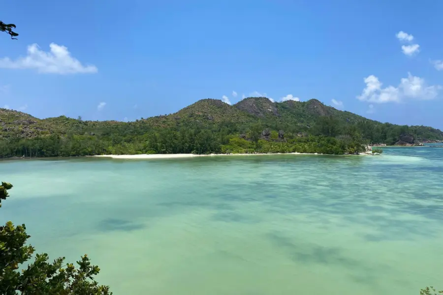 Datingjungle dw84imha9ws unsplash