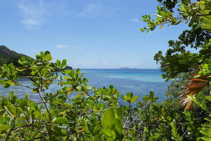 Nike159 seychelles 28937841920